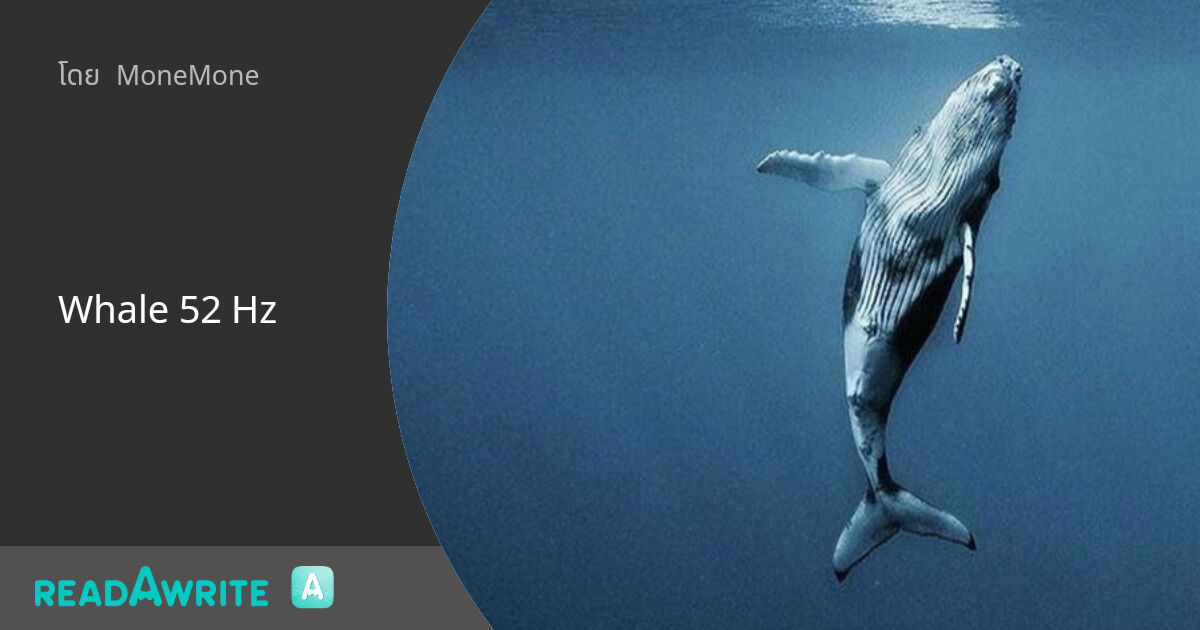 Whale 52 Hz: ฟิคฟรีสไตล์ (บรรยาย)