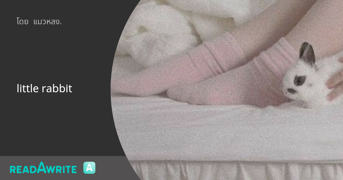 little rabbit twitter?🔞 jamdo ชุมชนคนขี้ชิป