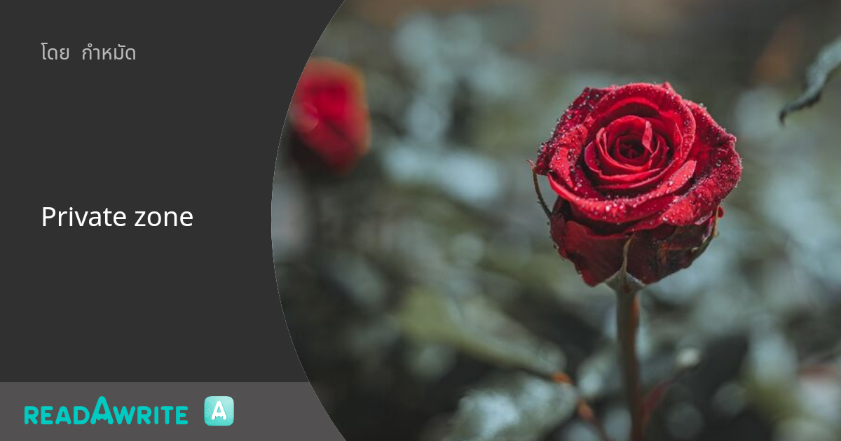 Private zone แฟนอาร์ต
