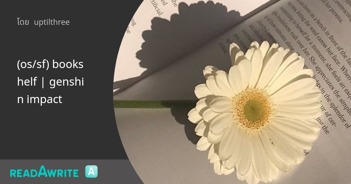 (os/sf) bookshelf genshin impact ฟิค Boy Love (แชท)